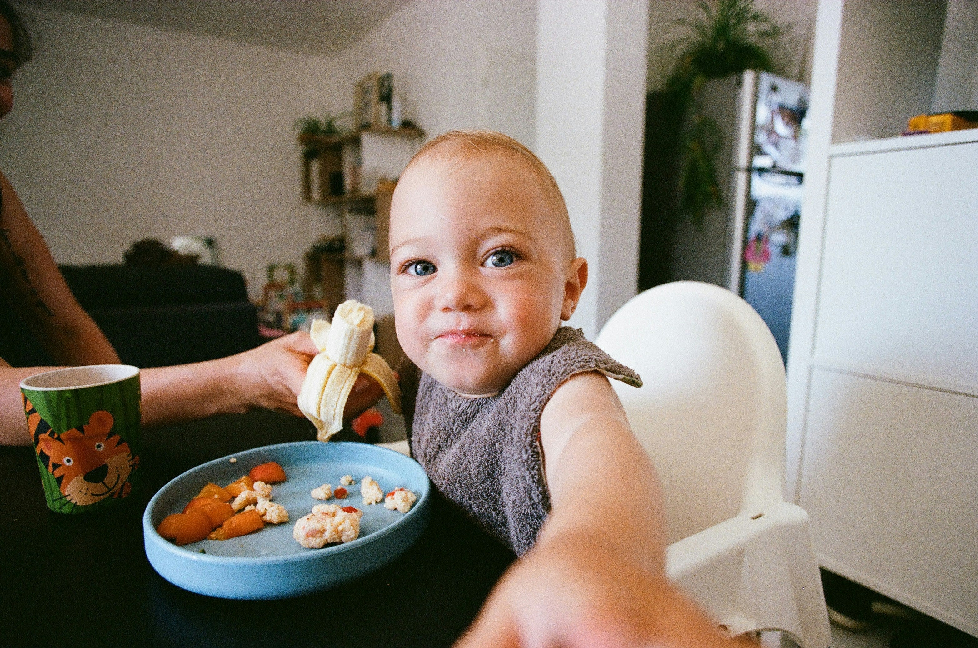 A Stress-Free Guide to Baby-Led Weaning