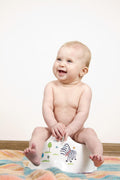 The Stress-Free 3-Day Potty Sprint